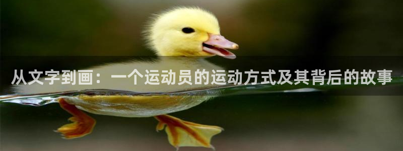 风动体育APP为恶意应用吗：从文字到画：一个运动员的运动方式及其背后的故事