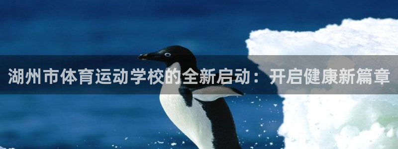 风动体育app下载：湖州市体育运动学校的全新启动：开启健康新篇章
