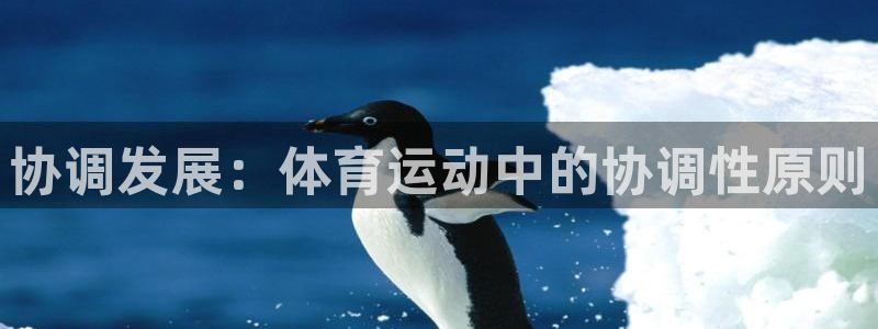 风动体育在线直播