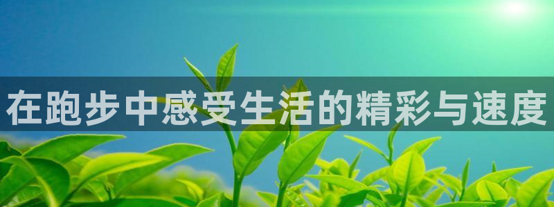 风动体育官网