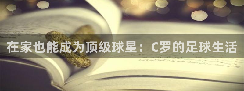 风动体育在线直播