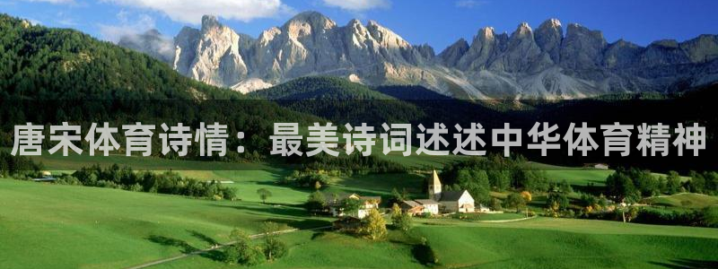 风动体育官网