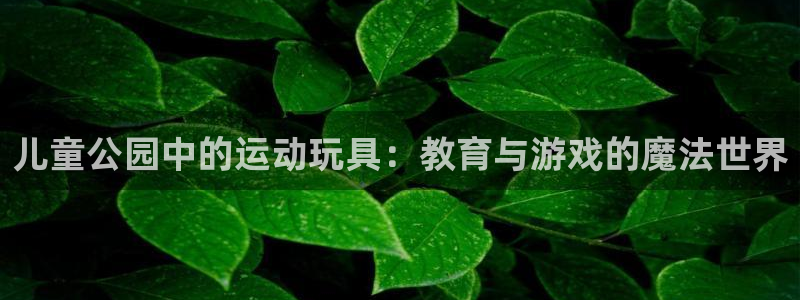 风动体育苹果版在哪下：儿童公园中的运动玩具：教育与游戏的魔法世界